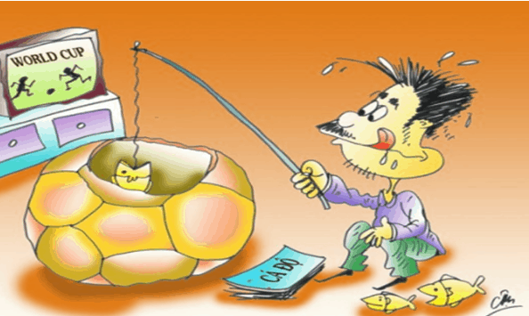 Ban da biet ca do bong da mot cach khoa hoc chua?