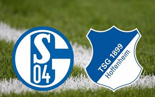 Soi keo nha cai bong da Schalke 04 vs Hoffenheim, 09/01/2021 – VDQG Duc