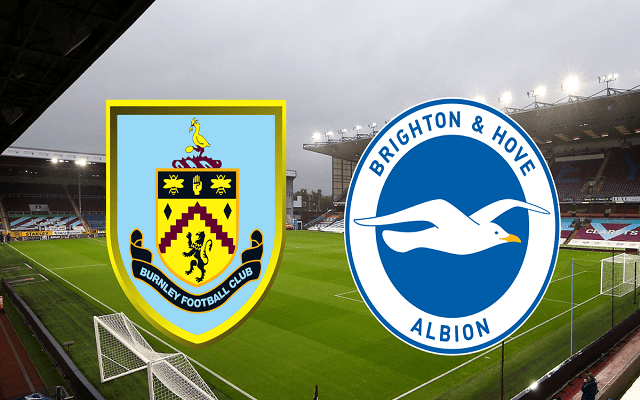 Soi keo nha cai bong da Burnley vs Brighton, 14/08/2021 – Ngoai Hang Anh