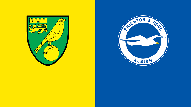 Soi keo nha cai bong da Norwich vs Brighton, 16/10/2021 - Ngoai hang Anh