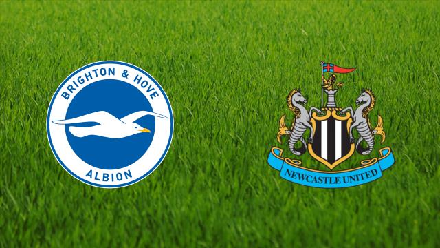 Soi keo nha cai bong da tran Brighton vs Newcastle, 00h30 07/11/2021 – Giai Ngoai Hang Anh